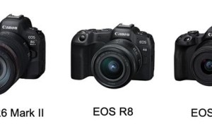 佳能可换镜数码相机连续 21 年蝉联全球市场占有率第一